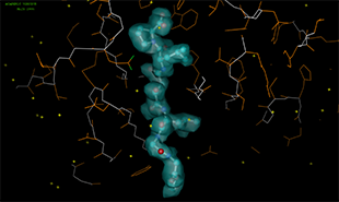 catB_NS144_complex_omit_map